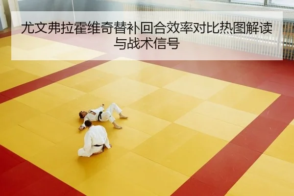 尤文弗拉霍维奇替补回合效率对比热图解读与战术信号